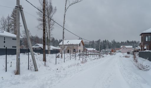 Лесная Быль