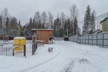 Лесная Быль
