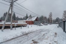 Лесная Быль