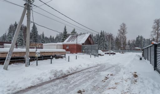 Лесная Быль