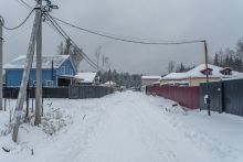Лесная Быль