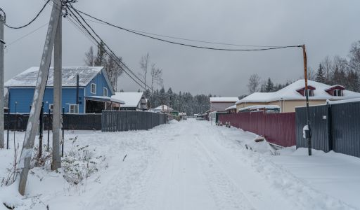 Лесная Быль