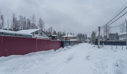 Лесная Быль