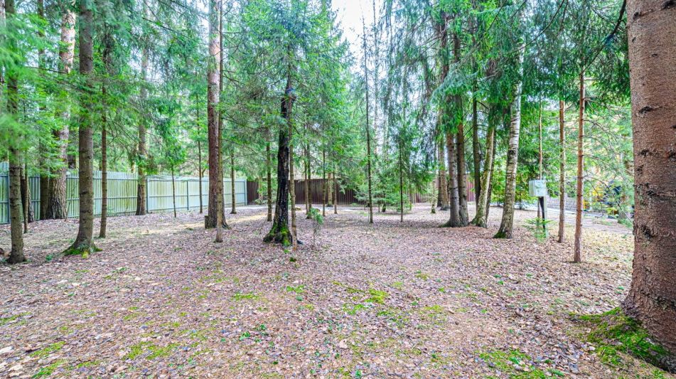 Дом у леса в КП Кезьмино