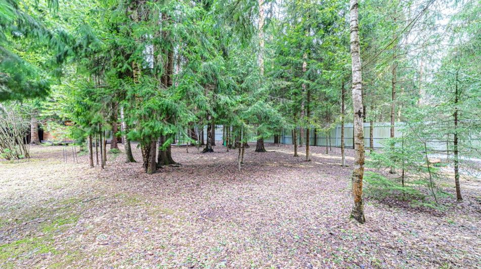 Дом у леса в КП Кезьмино