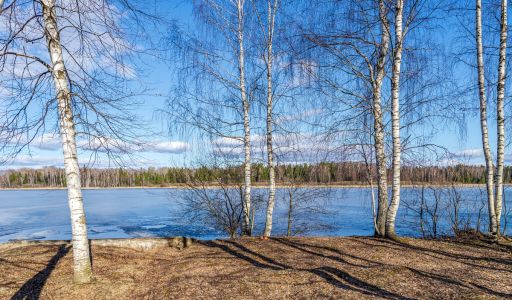 Дом в Конаково на 1 линии воды