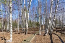 Резиденция на первой линии Волги