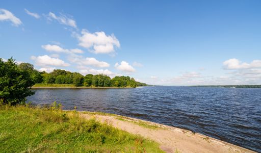 Современный дом в Витенево