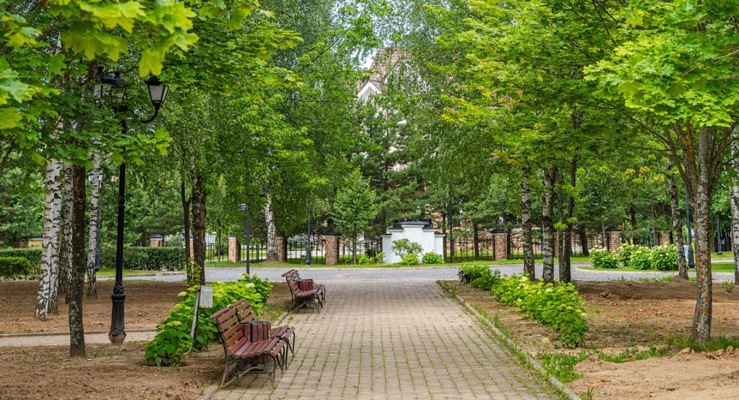 Онегино
