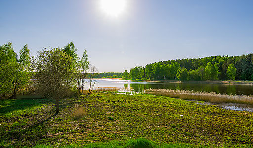 Аква форест