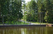 Лесной участок КП Лазурный берег