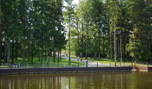 Лесной участок КП Лазурный берег