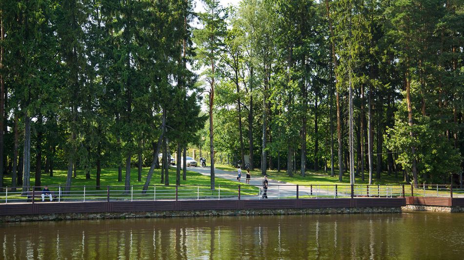 Лесной участок КП Лазурный берег