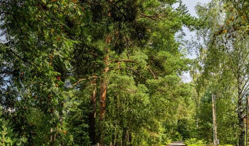 Участок в КП Озерна Резиденс