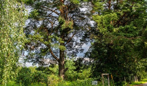 Участок в КП Озерна Резиденс