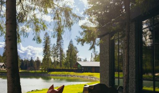 Лесной участок в КП Ели Эстейт