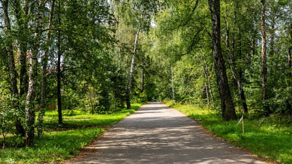 Участок в КП Озерна Резиденс