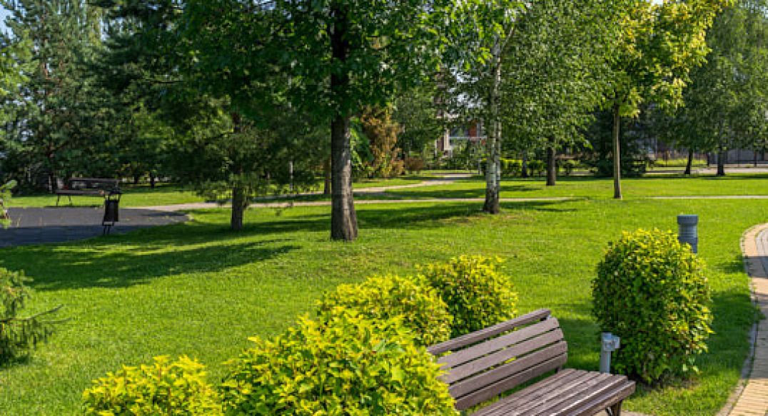 Новорижский