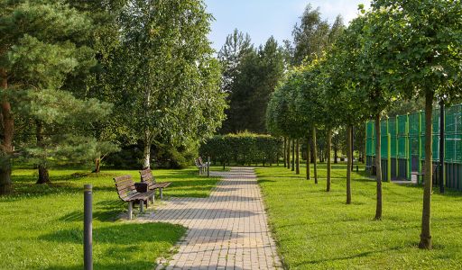 Покровский