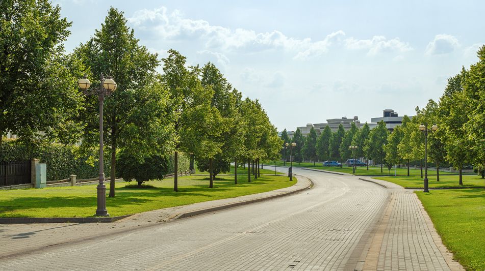 Дом под отделку в Ренессанс парк