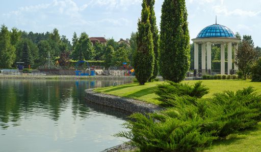 Дом под отделку в Ренессанс парк