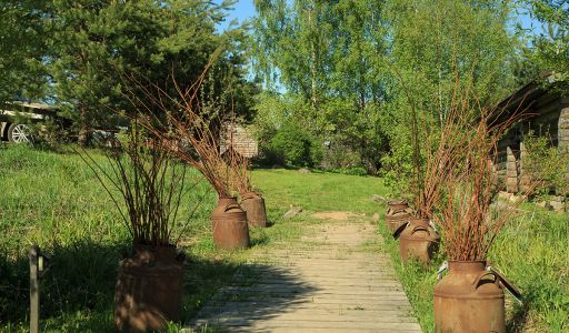 Усадьба на берегу оз. Селигер