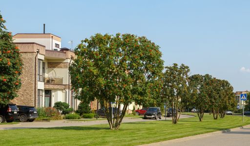 Покровский