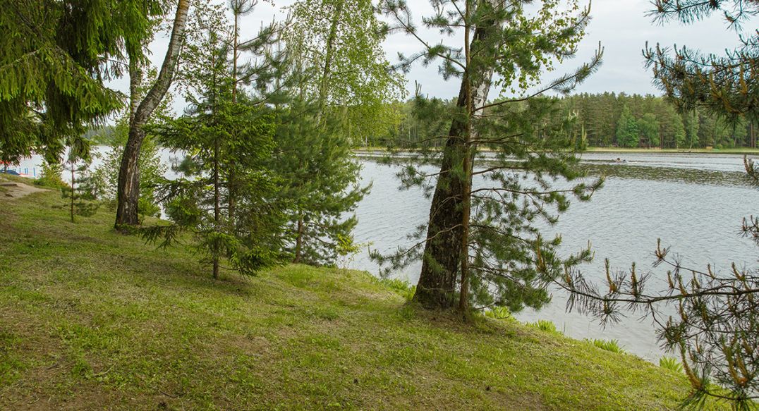 Новое время