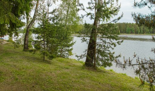 Новое время