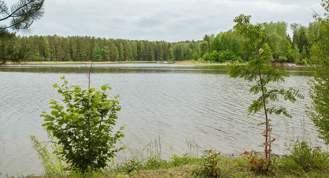 Новое время