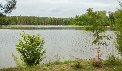 Новое время