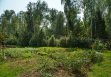 Дом у леса в поселке Риверсайд