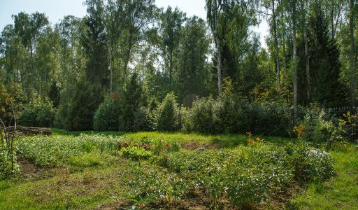 Дом у леса в поселке Риверсайд