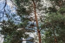 Никольский бульвар