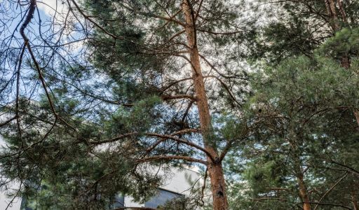 Никольский бульвар