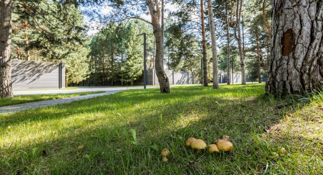 Никольский бульвар