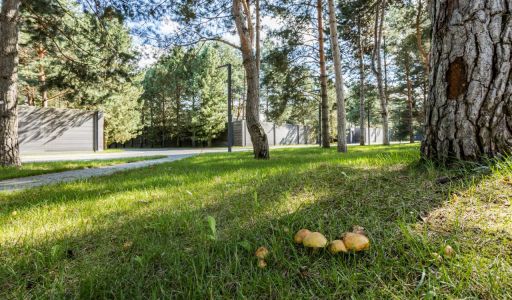 Никольский бульвар
