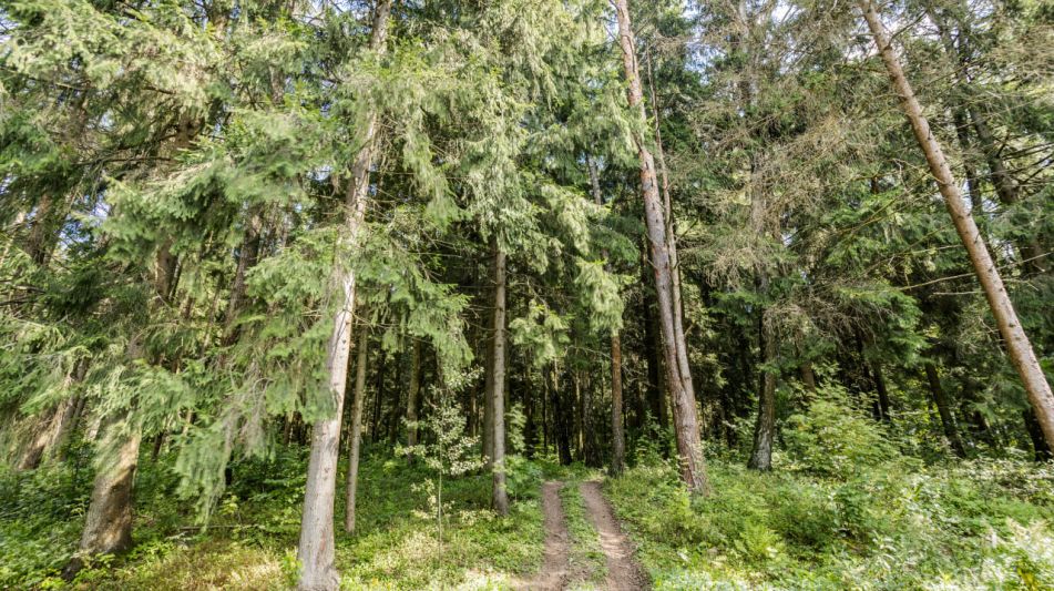 Дом под отделку в кп Лесные Зори