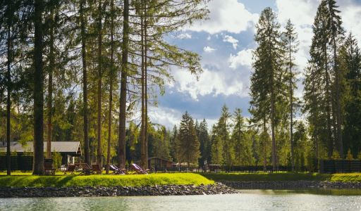 Лесной участок в КП Ели Эстейт