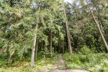 Участок в КП Лесные зори