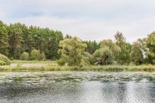 Дом у воды в Глухово