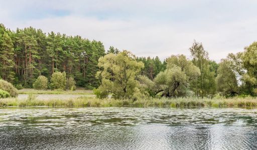 Дом у воды в Глухово