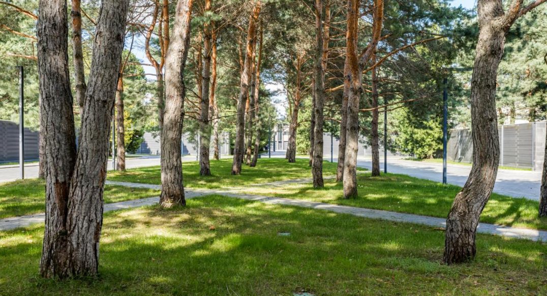 Никольский бульвар