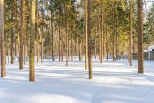 ЭКО ДОМ пос. Никульское