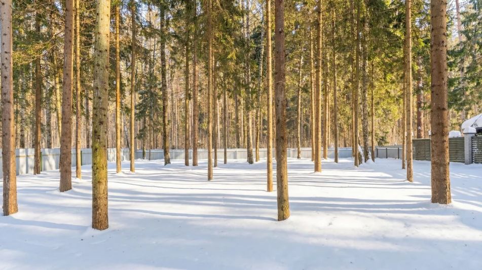 ЭКО ДОМ пос. Никульское