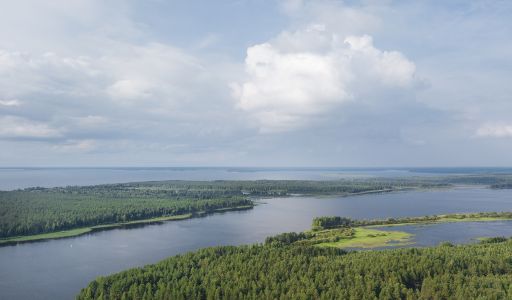 Дом на берегу Рыбинского водохранилища