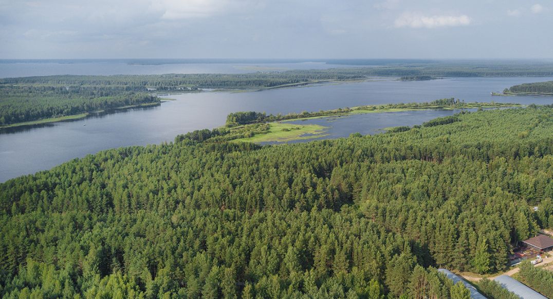 Бараново
