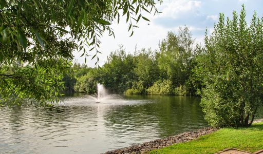 Покровский