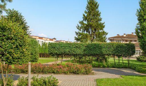 Покровский