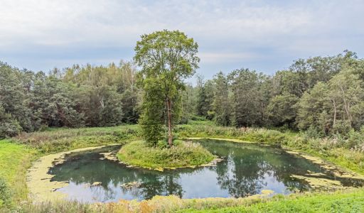 Дом у озера в КП Позитив